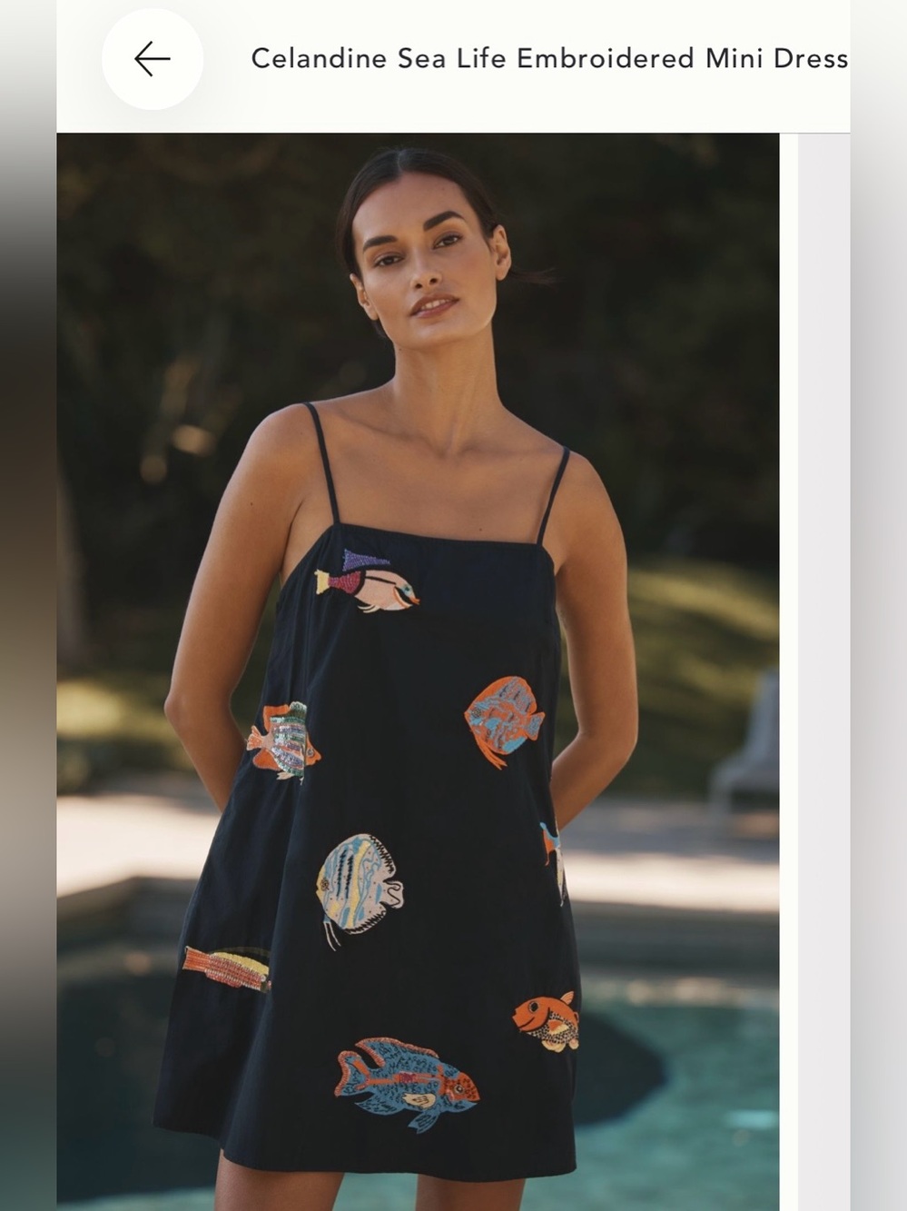Celandine Black Embroidered Sea Life Mini Swim Coverup